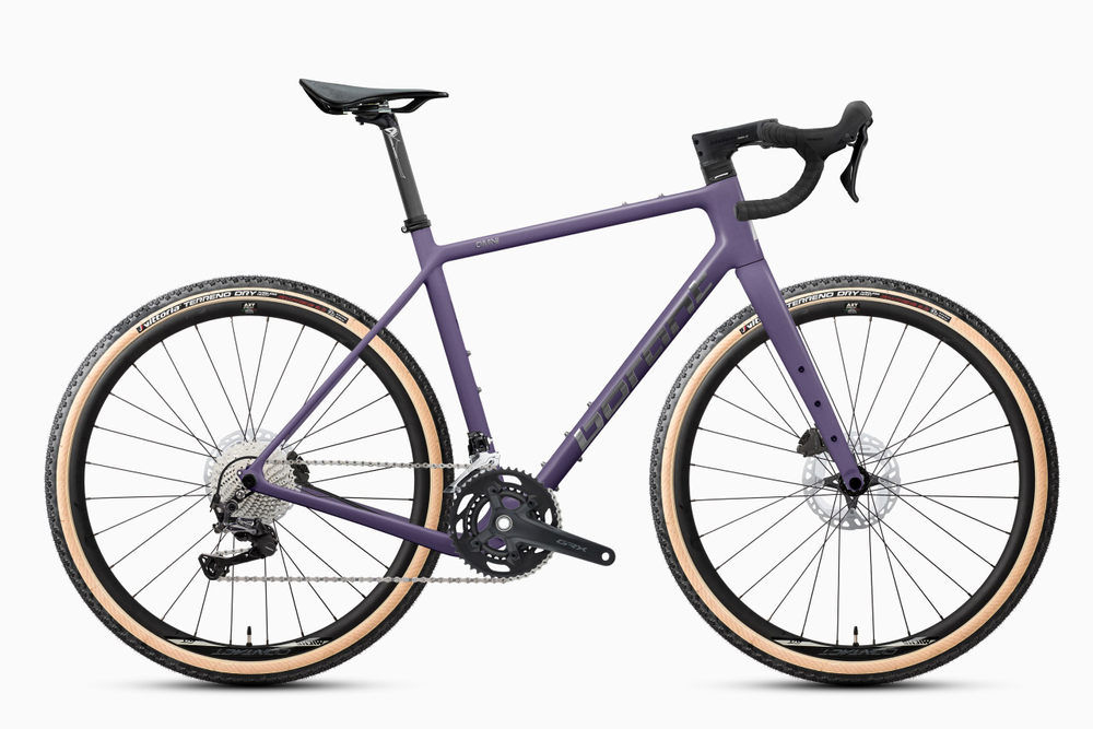 Borant OMNI GRX 610 2x12 (предзаказ 2026)