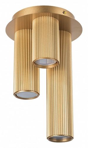 Накладная люстра Lightstar 718033