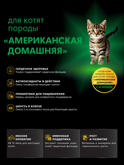 Корм сухой для котят породы Американская домашняя, с ягненком, 2кг, QUATTRO
