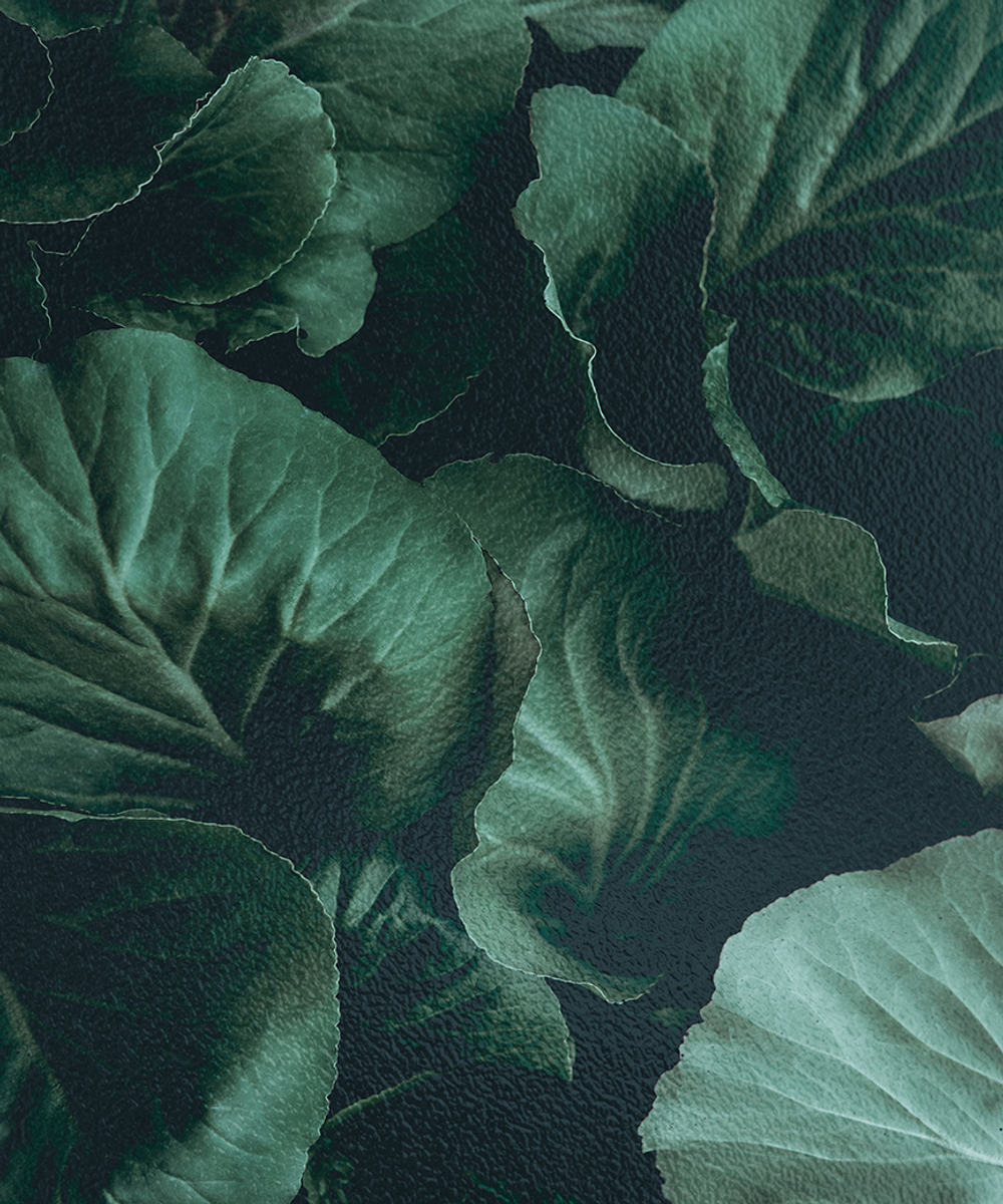 Коллекция FRAME 19