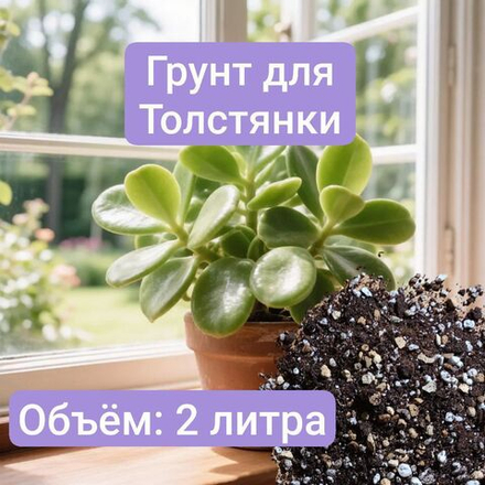 Авторский грунт для Толстянки 2 литра универсальный грунт 2 литра