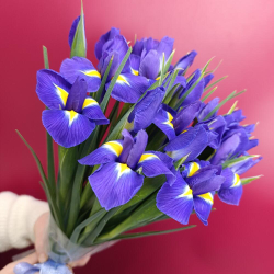 Букет синих ирисов