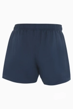 Шорты Nike Team Rugby