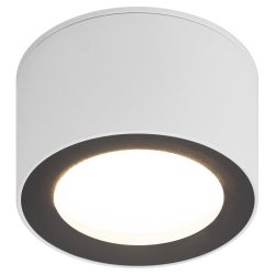 Светильник настенно-потолочный спот ЭРА OL28 WH/BK GX53, черно-белый, IP44 | Накладные светильники