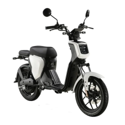 Электроскутер Skyboard Sevastopol 1800W