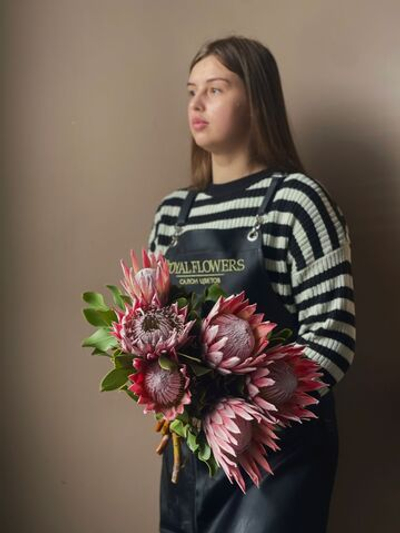 Протея (Африканская роза)