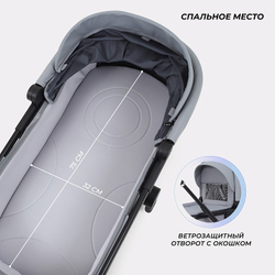 Детская коляска Rant Moss 2 в 1 Classic Grey