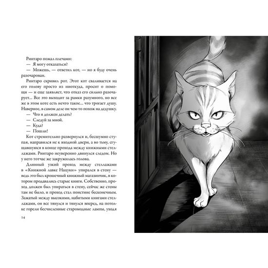 Кот, который любил книги