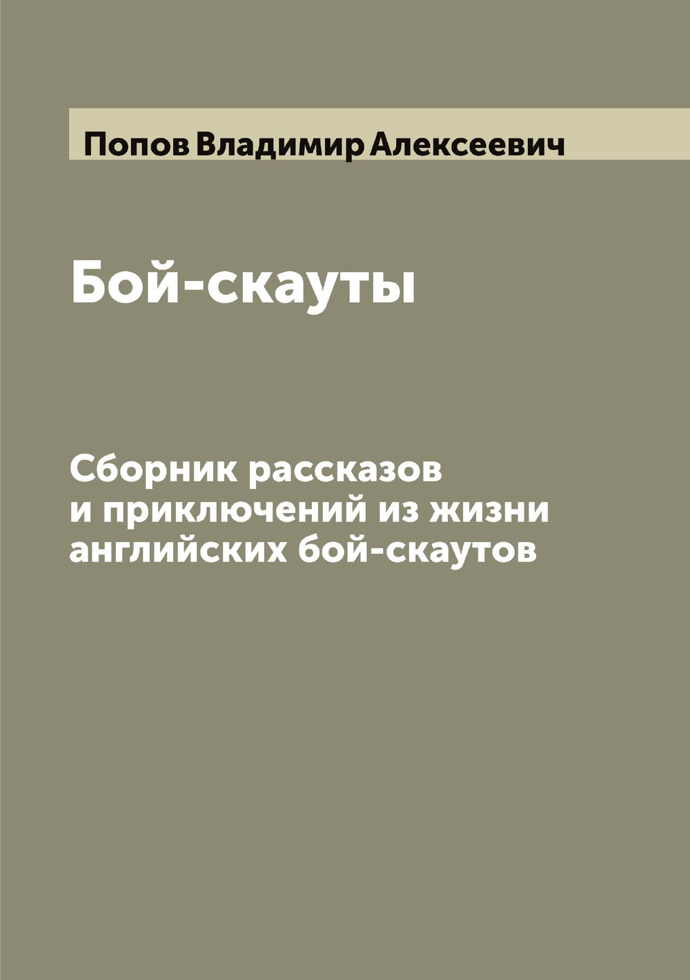 Бой-скауты. Сборник рассказов и приключений из жизни английских бой-скаутов | Попов Владимир Алексеевич