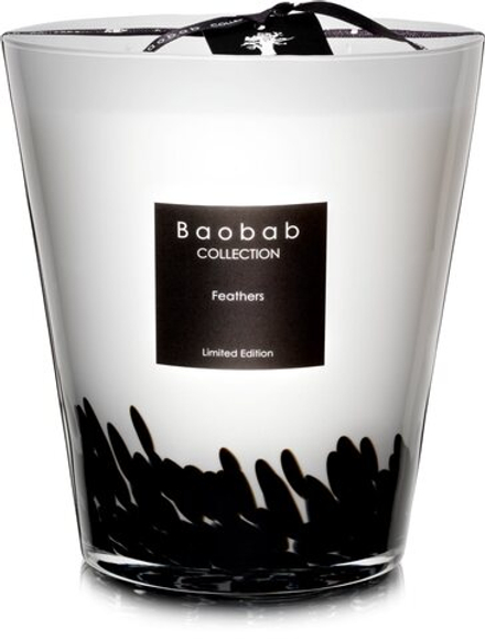 Baobab Collection Feathers - ароматическая свеча /  16 cm   / GTIN 5415198116306
