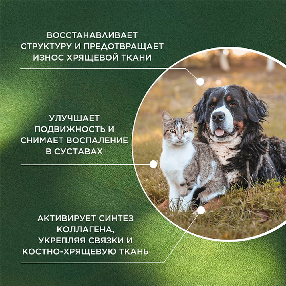 Функциональная кормовая добавка для собак и кошек ProPhyto Артро Защита, 30 таблеток