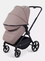 Прогулочная коляска Rant Moss 2025