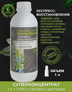 Экспресс восстановление