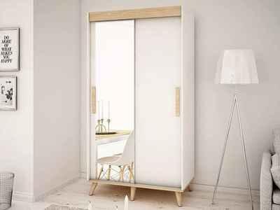 Шкаф-купе Руна  двухстворчатый FP46  150*60*220