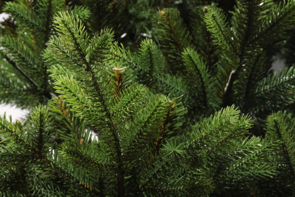 Ель искусственная Царь елка Идеал 150 см ИД-150