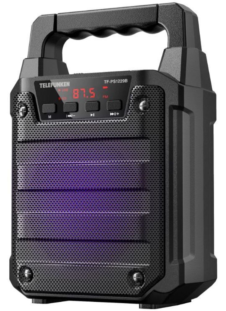Портативная аудиосистема Telefunken TF-PS1229B(черный)