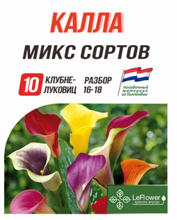 Калла клубнелуковица, Микс сортов, 10шт.