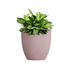 Кашпо, коллекция Classic, форма VASE3