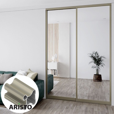 Дверь-купе ARISTO Н, зеркало, профиль шампань матовая