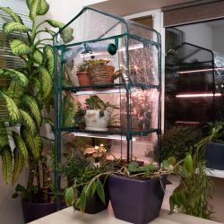 Теплица GREEN APPLE GA-House-5 со светильниками в комплекте 5 ярусов 1930х690х490 мм | Теплица