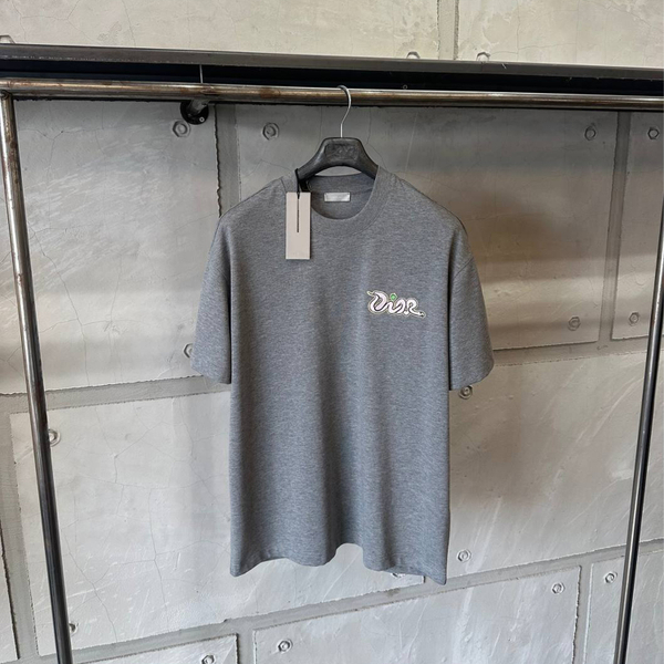Футболка Dior Kaws grey