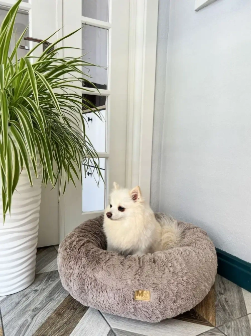 Лежанка для кошек лежак для собак домик