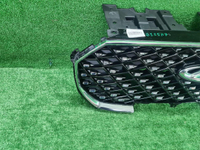 Решетка радиатора Chery Tiggo 8 Pro Max (2022-н.в.)