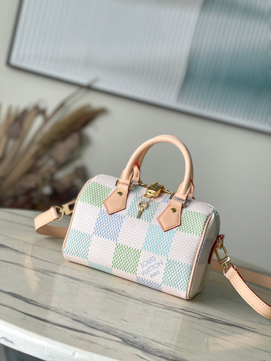 Louis Vuitton Speedy 20