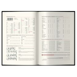 Датированный ежедневник Delucci (DD5_89402)