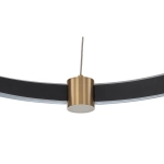 Подвесная люстра Indigo PARADE 14014/B/1P Black V000071L