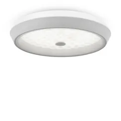 Потолочный светильник Элементы / Cells Freya fr10012cl-l24w