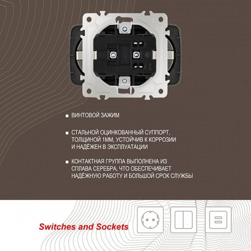 Розетка двойная с заземлением, без рамки Arte Milano am-205 205.40-2.shampan