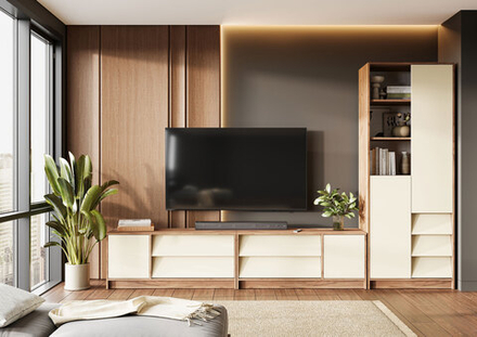 Модульная гостиная "Рейн"