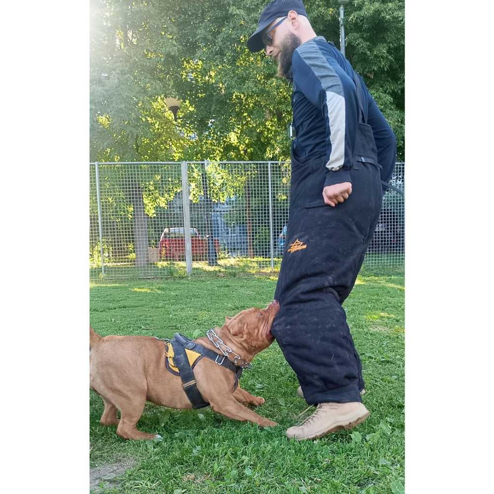 Штаны от костюма «Ring Sport dog»