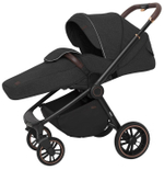 Прогулочная коляска Carrello Epica