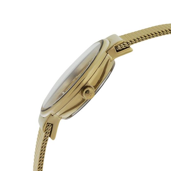 Наручные часы Skagen SKW2196