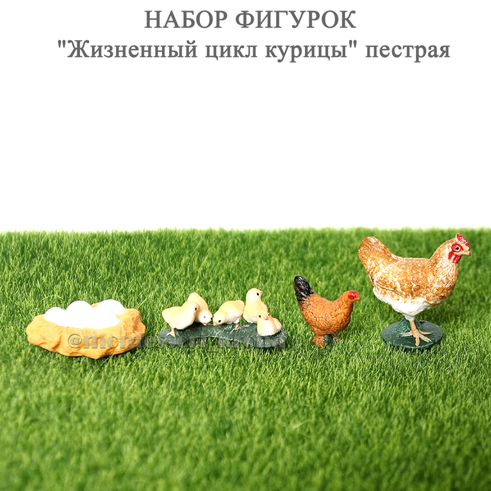 НАБОР ФИГУРОК "Жизненный цикл курицы" Пестрая