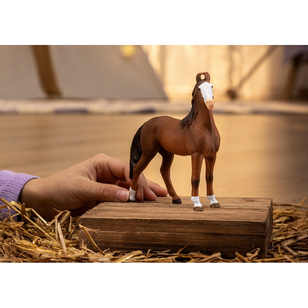 Schleich S 14897 — Кобыла марвари — Horse Club — фото 3