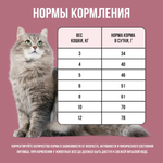 Bowl wow корм сухой для взрослых стерилизованных кошек: индейка, курица, свекла