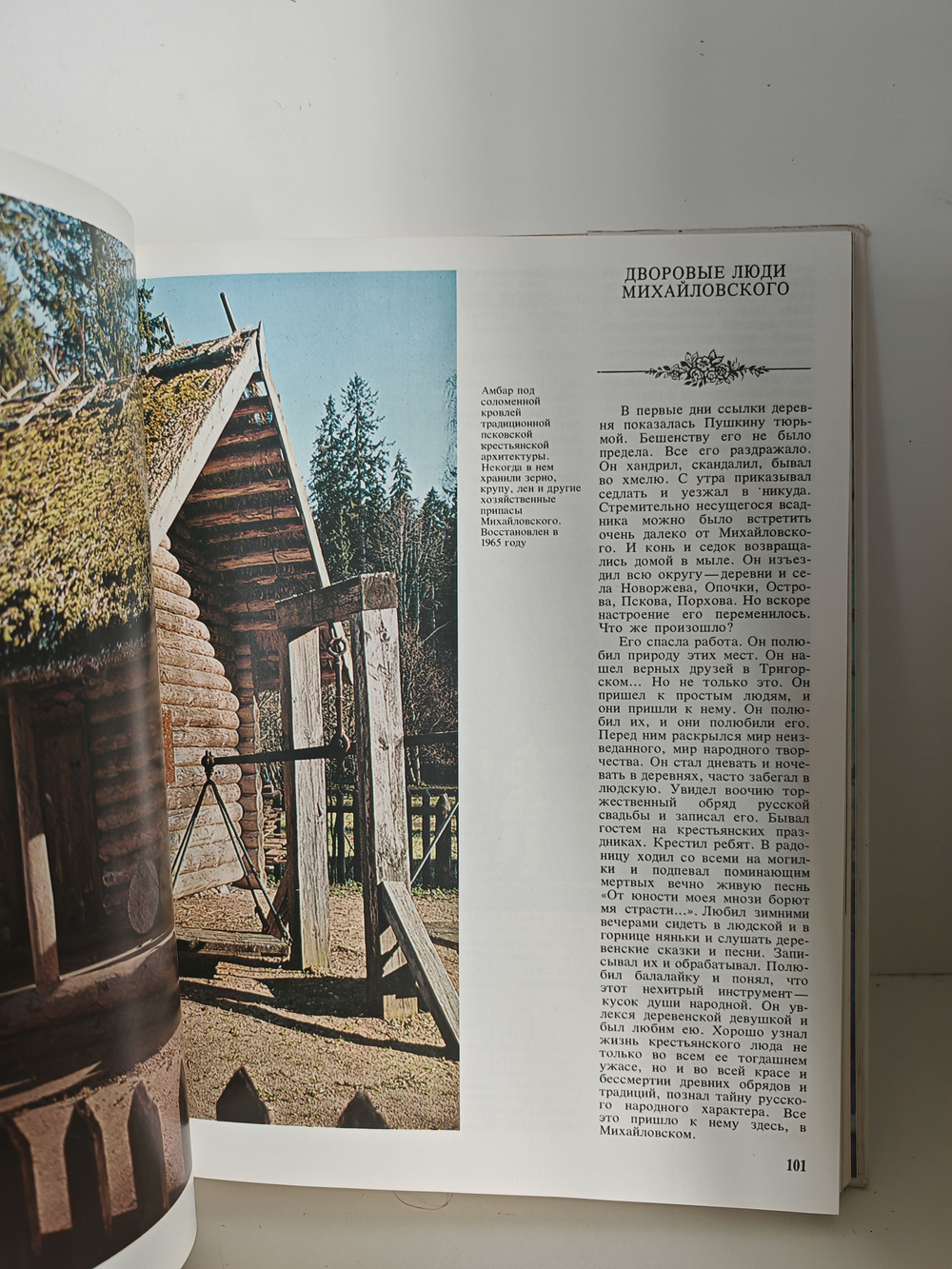 Приют, сияньем муз одетый