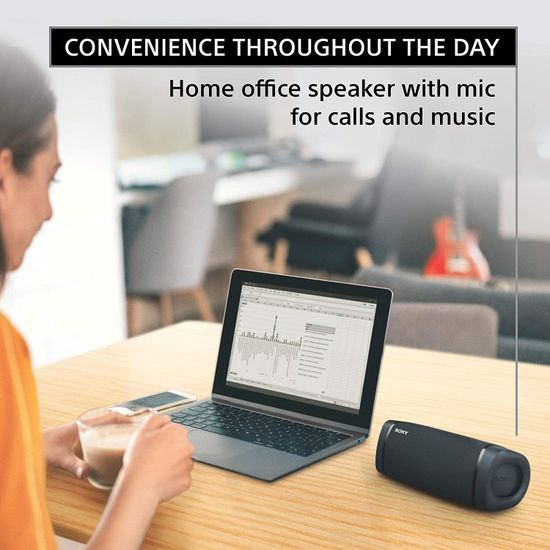 Портативная колонка Sony SRS-XB33