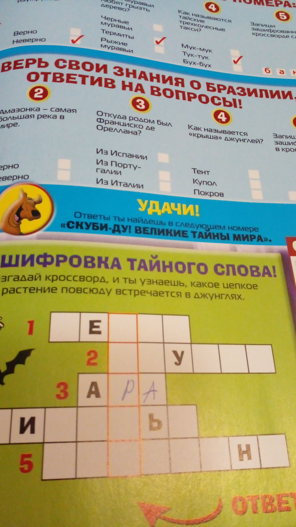 Scooby-Doo! (Скуби-Ду) Великие тайны мира. Выпуск 15.Бразилия (2006)