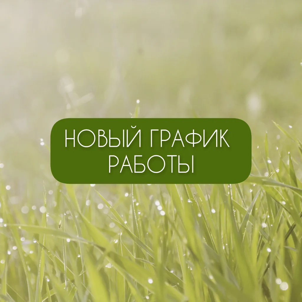 Новый график работы