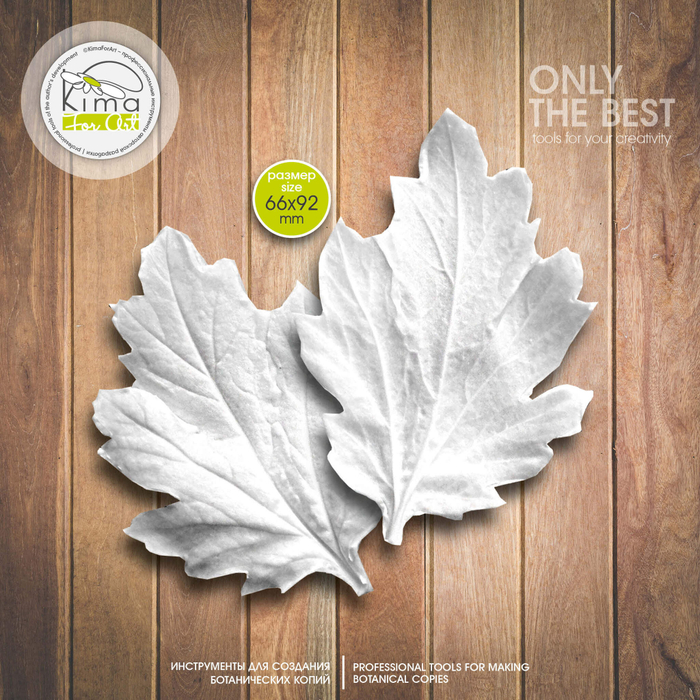 Хризантема лист средний