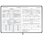 Дневник 1-11 класс 48 л., твердый, BRAUBERG, матовая ламинация, резинка, закладка-ляссе, с подсказом, "Дракон", 107240