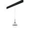 Комплект с трековым светильником Lightstar Globo (813117+595007) PRO813117