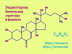 Экдистерон - химическая формула