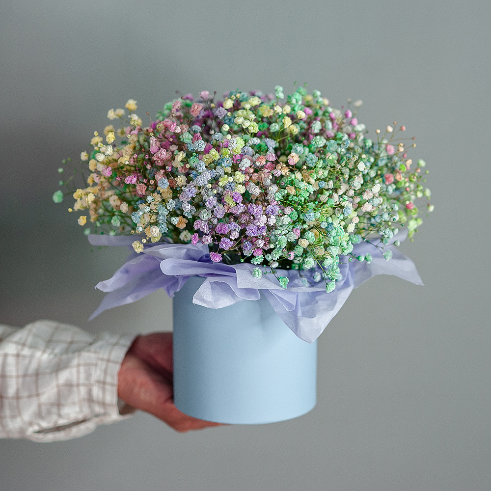 Цветная гипсофила в шляпной коробке размер S