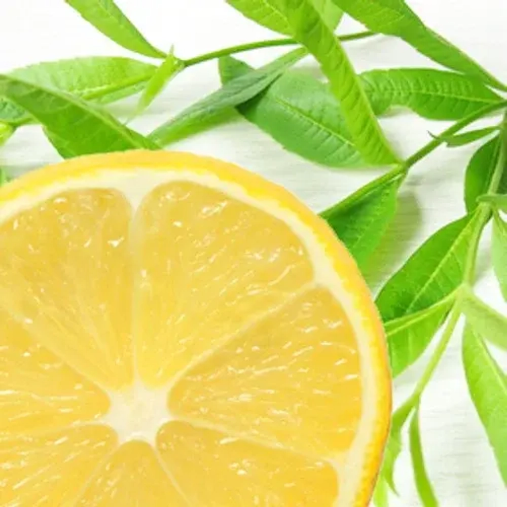 Отдушка TFC - Лимонная вербена (Lemon Verbena)