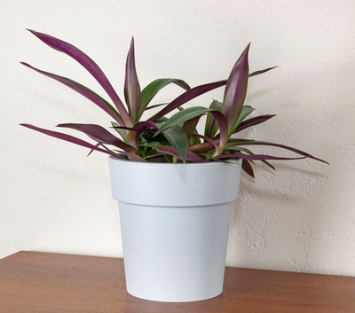 Кашпо ТУБУС 200мм 2,5л М3165